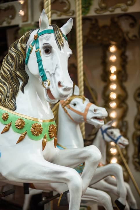 Location manège Allauch en pleine fête Bouches-du-Rhône